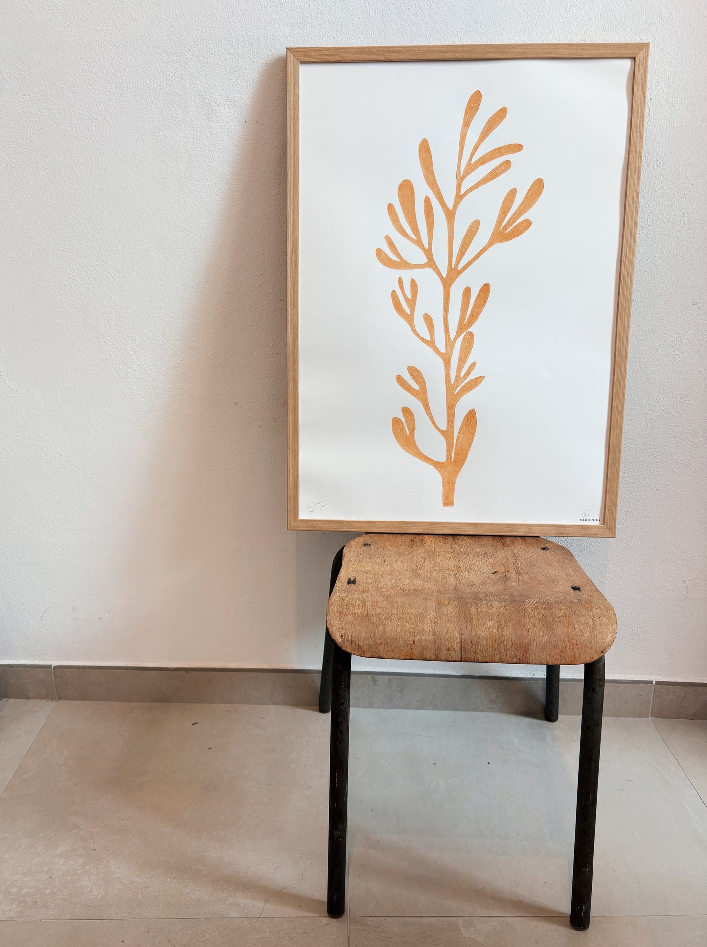Sea Fennel