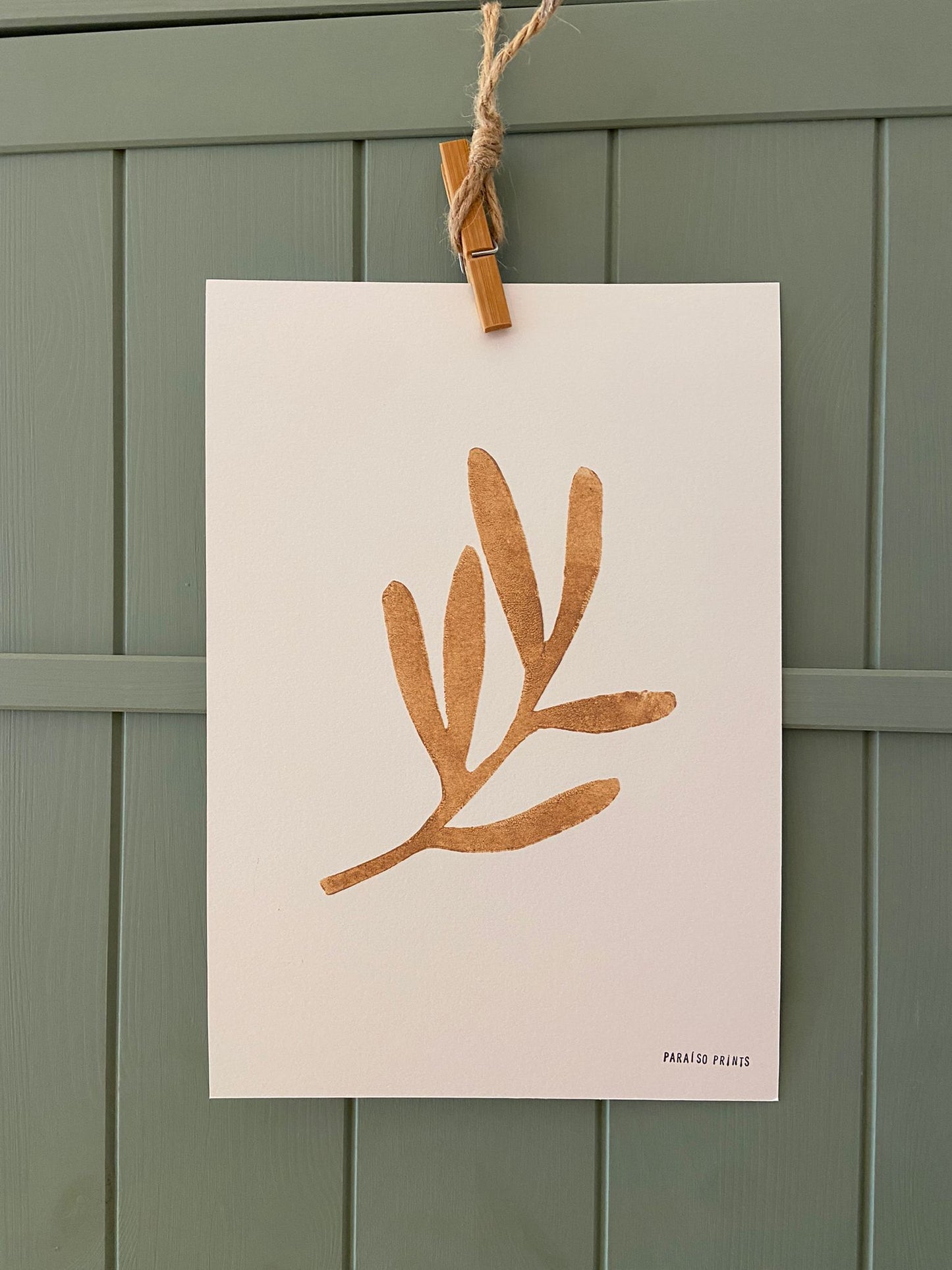 Olive branch