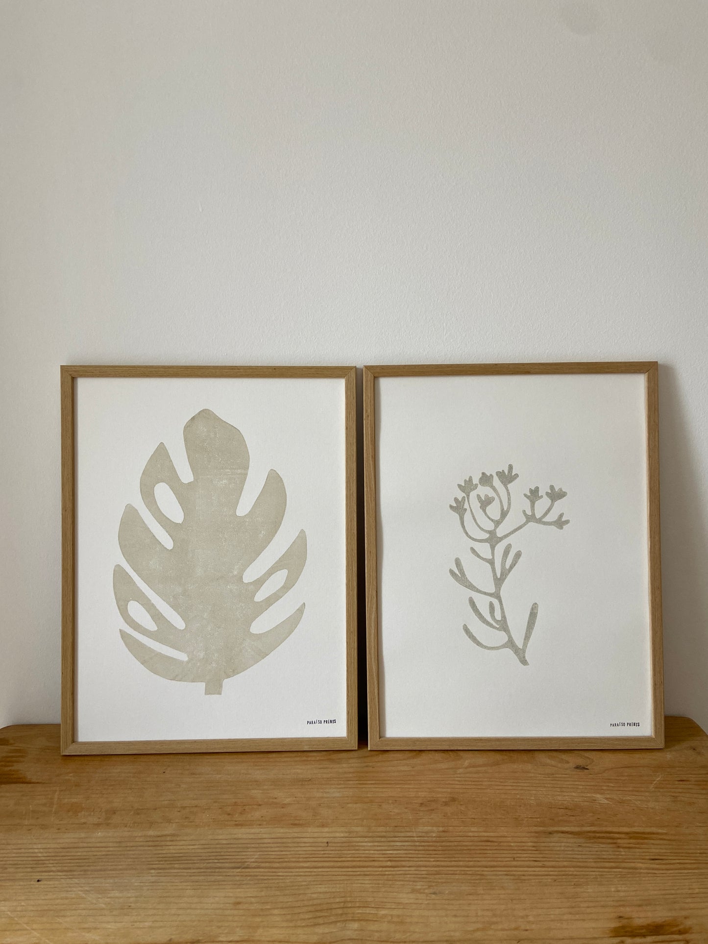 Monstera Small