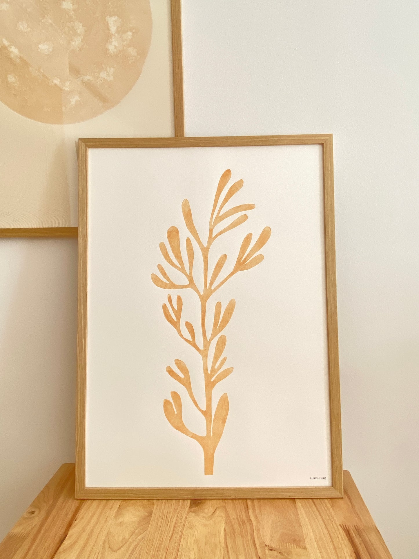 Sea Fennel from La Granadella