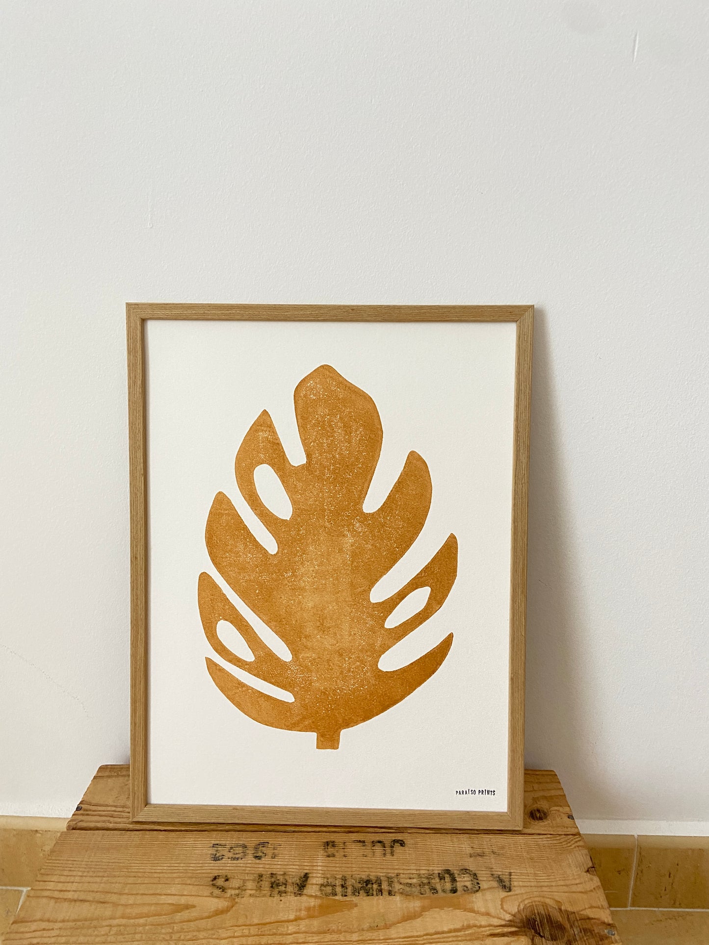 Monstera Small