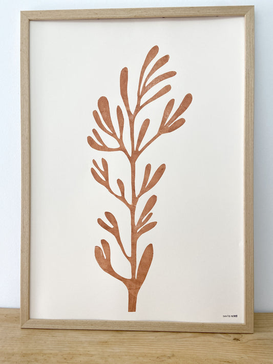 Sea Fennel