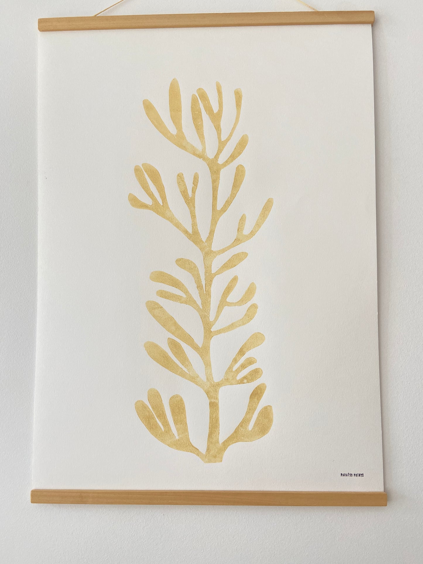 Sea Fennel