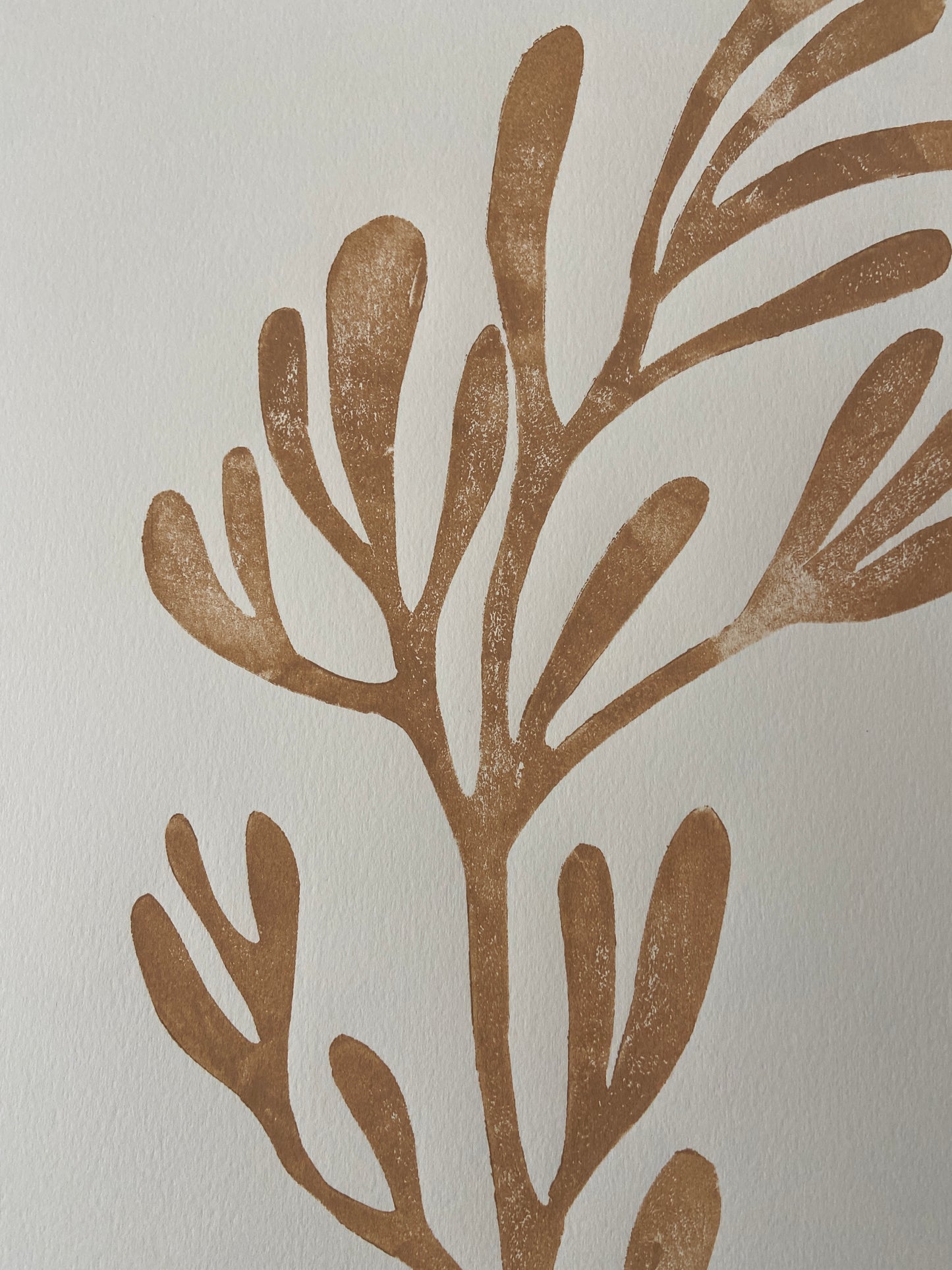 Sea Fennel