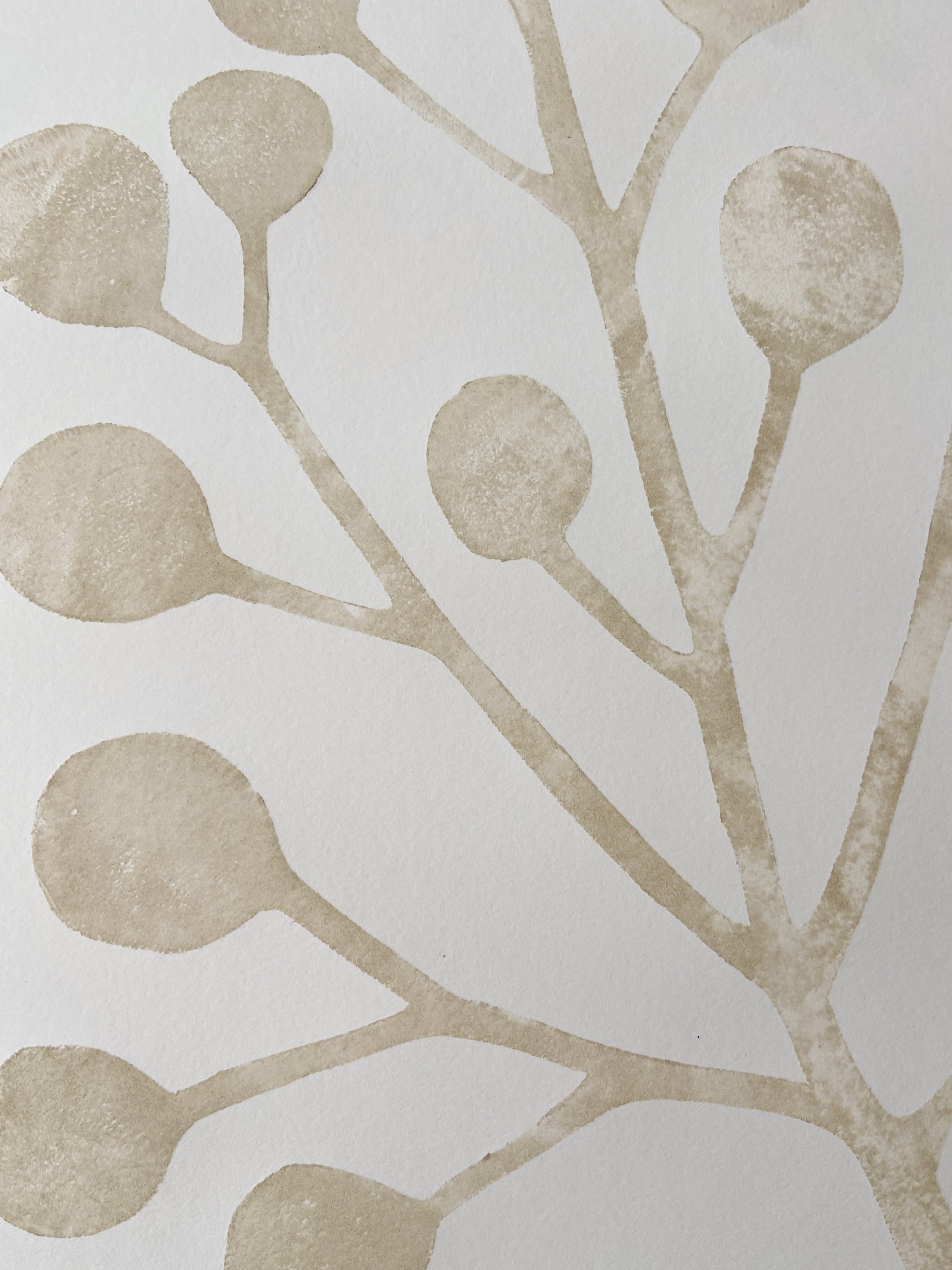 Paraiso tree prints | Paraiso tree art online - Paraiso prints