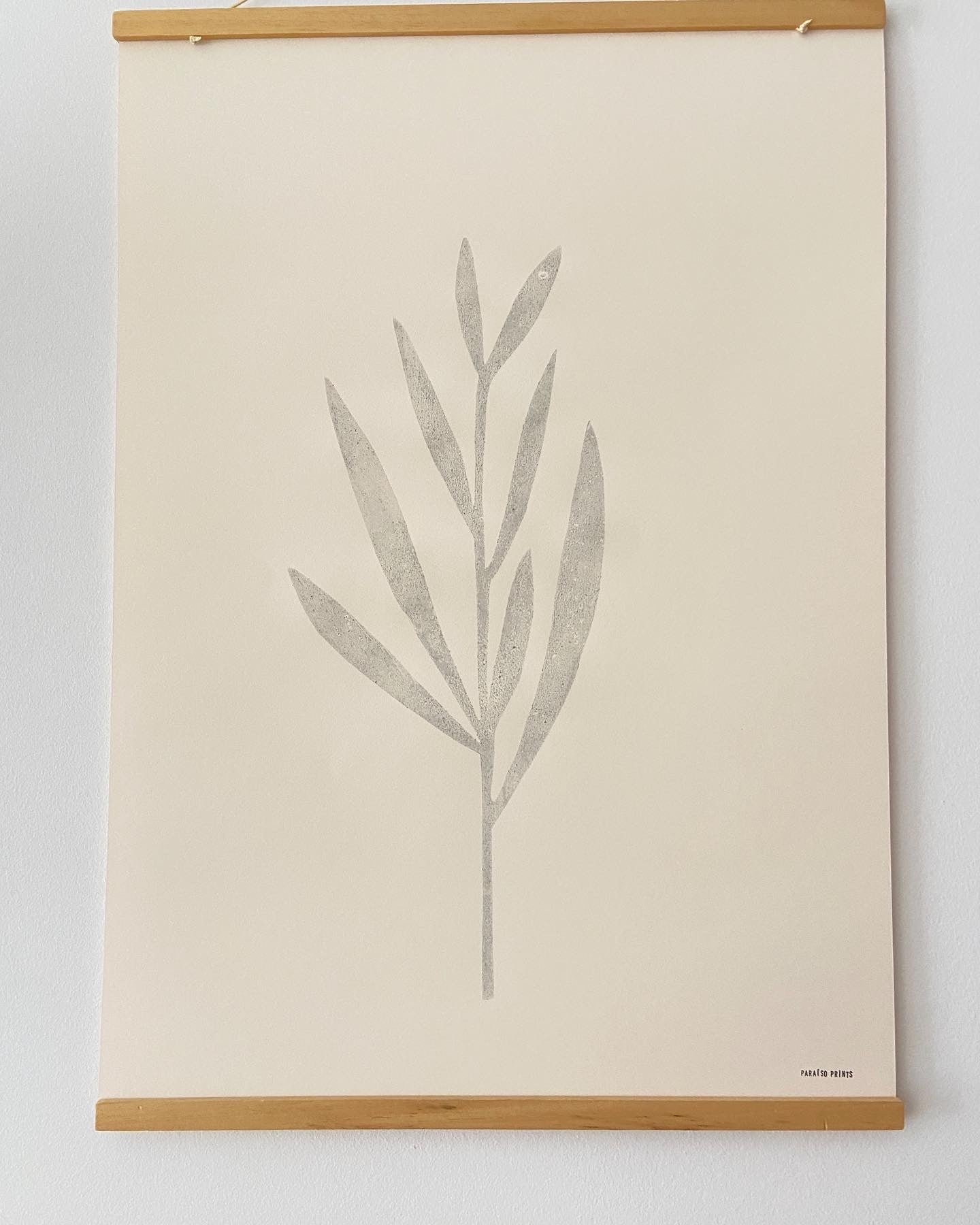 Laurel drawing for sale | Laurel del jardín | Mountain laurel drawing