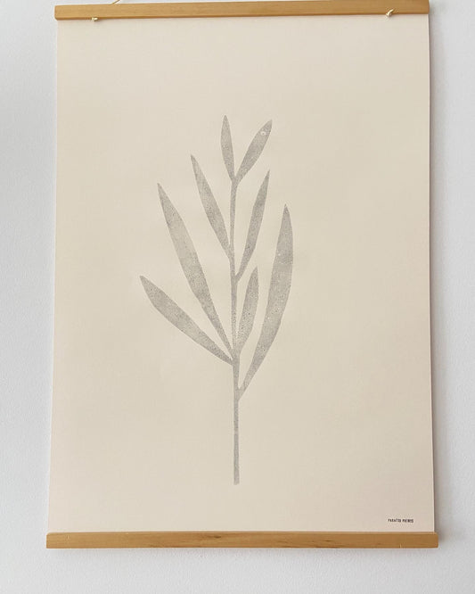 Laurel drawing for sale | Laurel del jardín | Mountain laurel drawing
