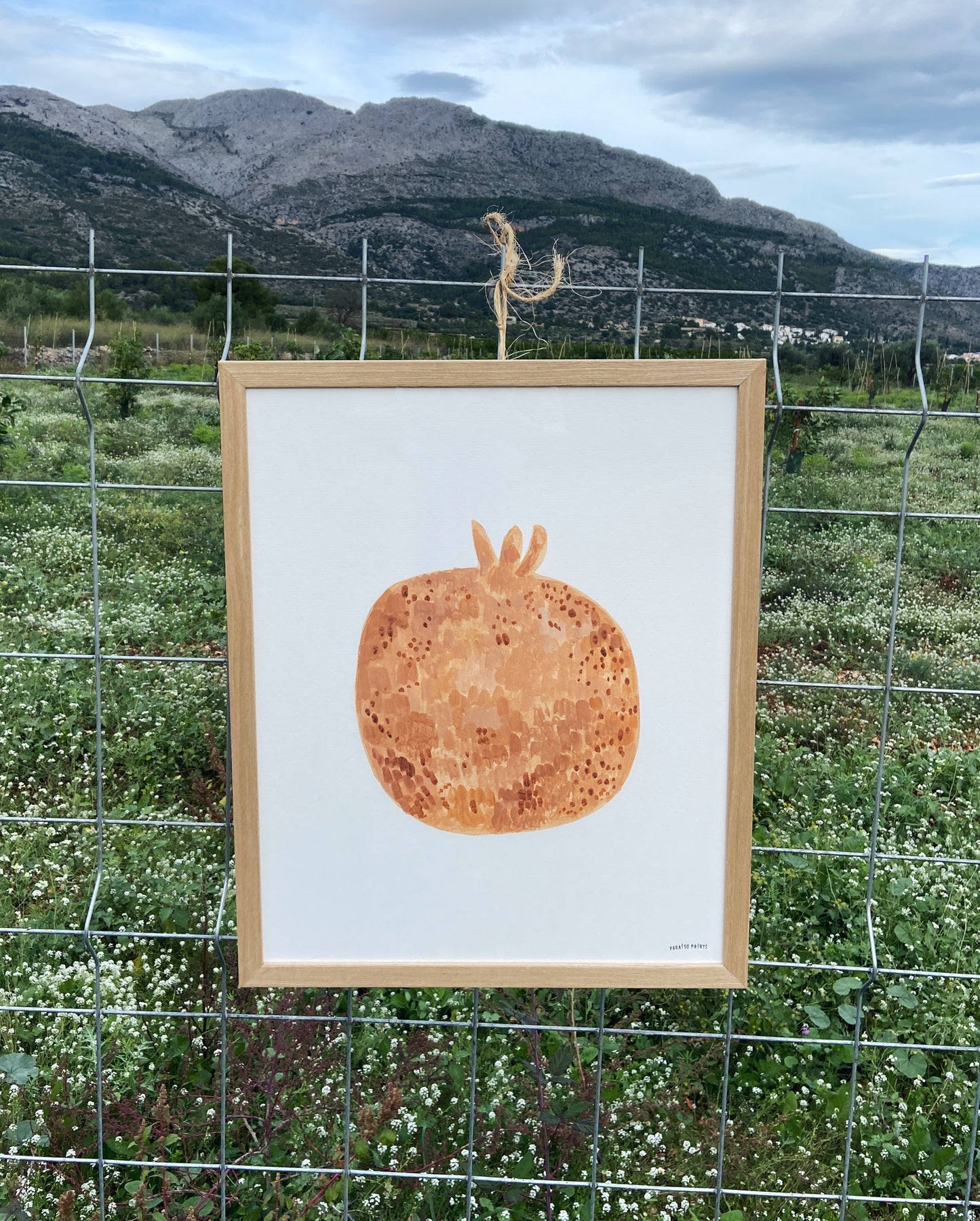 Pomegranate