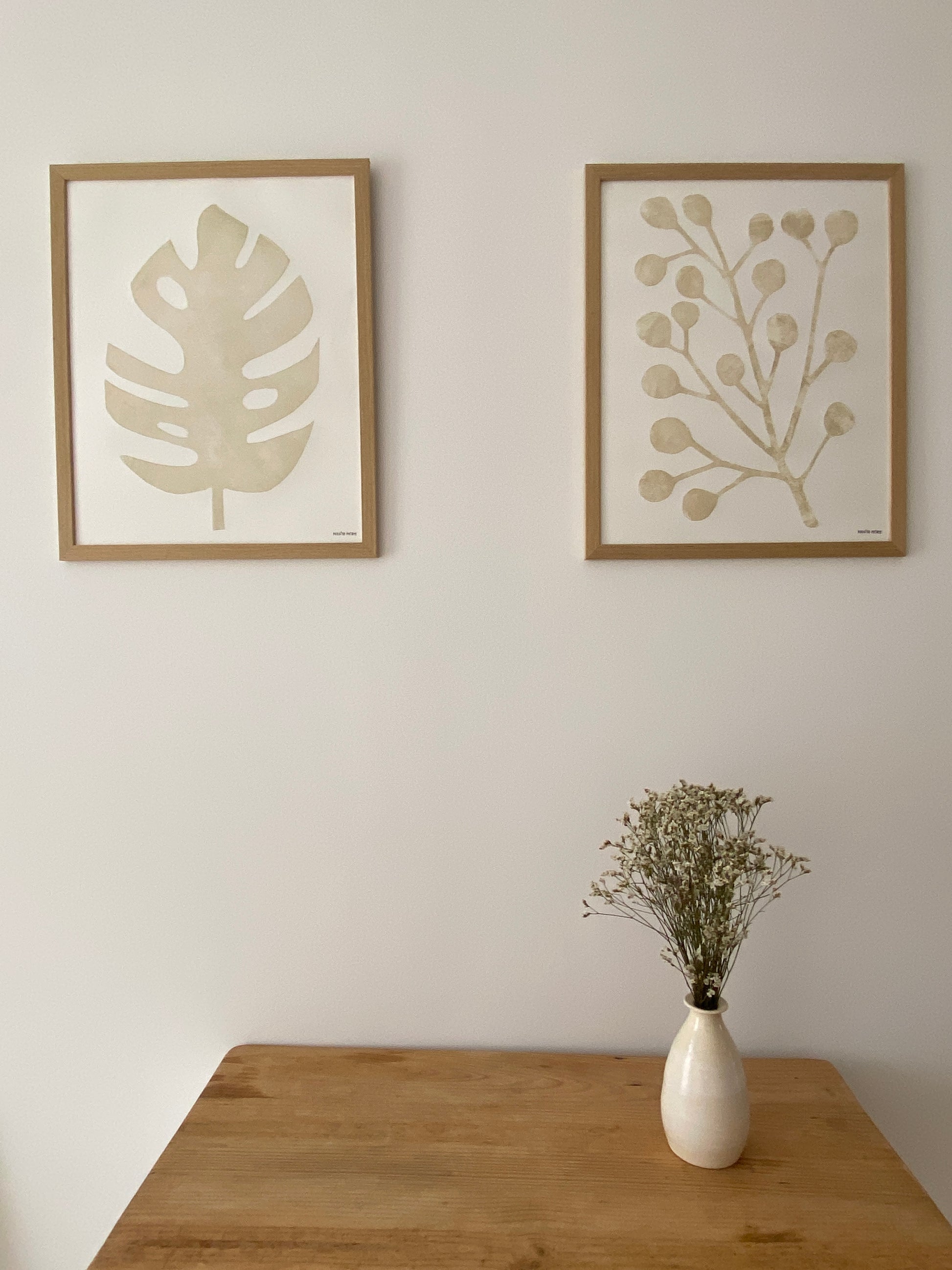 Monstera deliciosa Prints