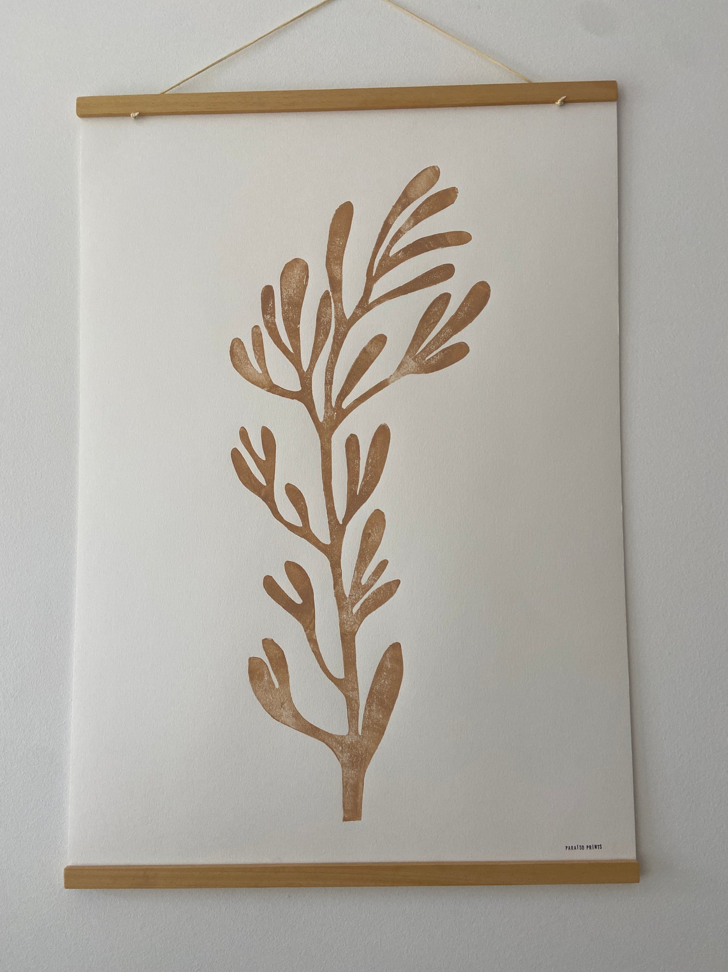Sea Fennel
