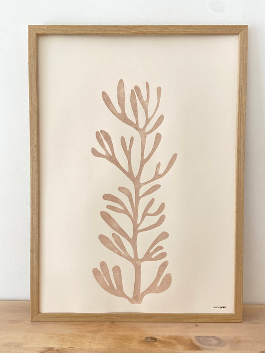 Sea Fennel II