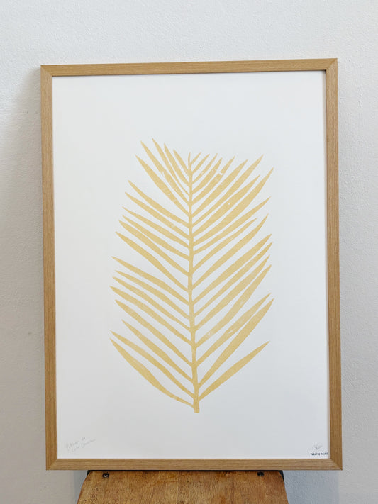 Big Palm leaf