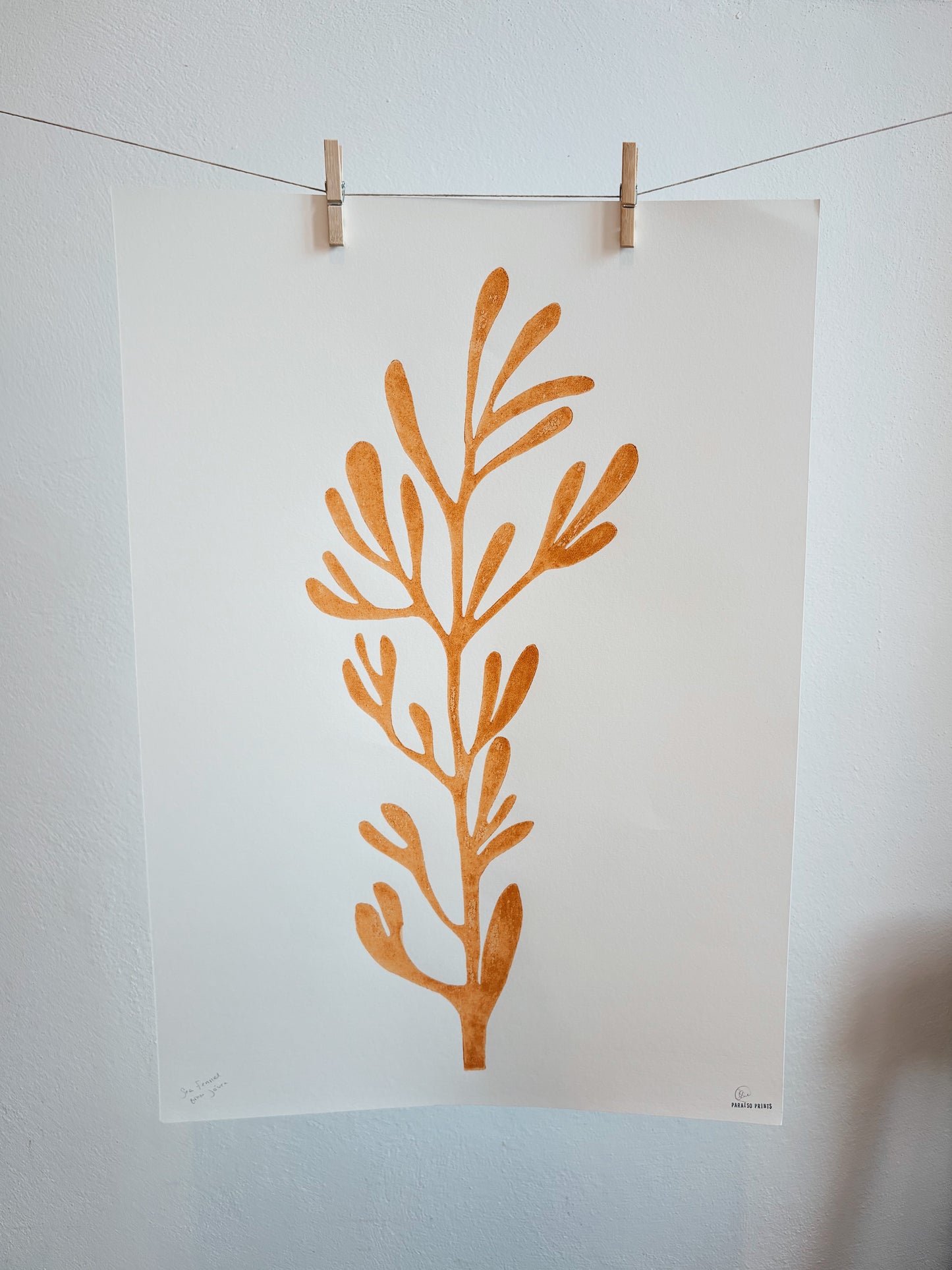 Sea Fennel