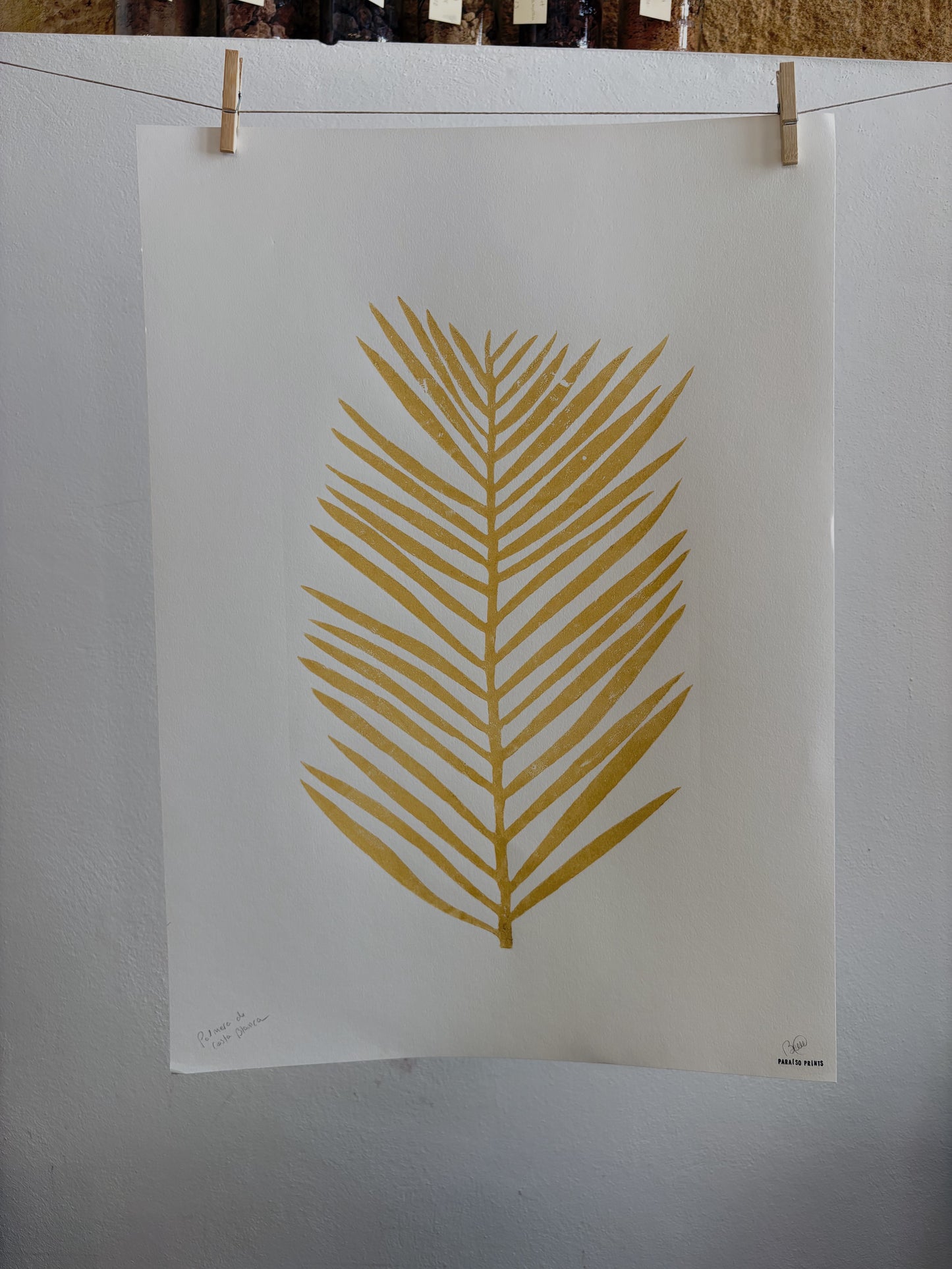 Big Palm leaf