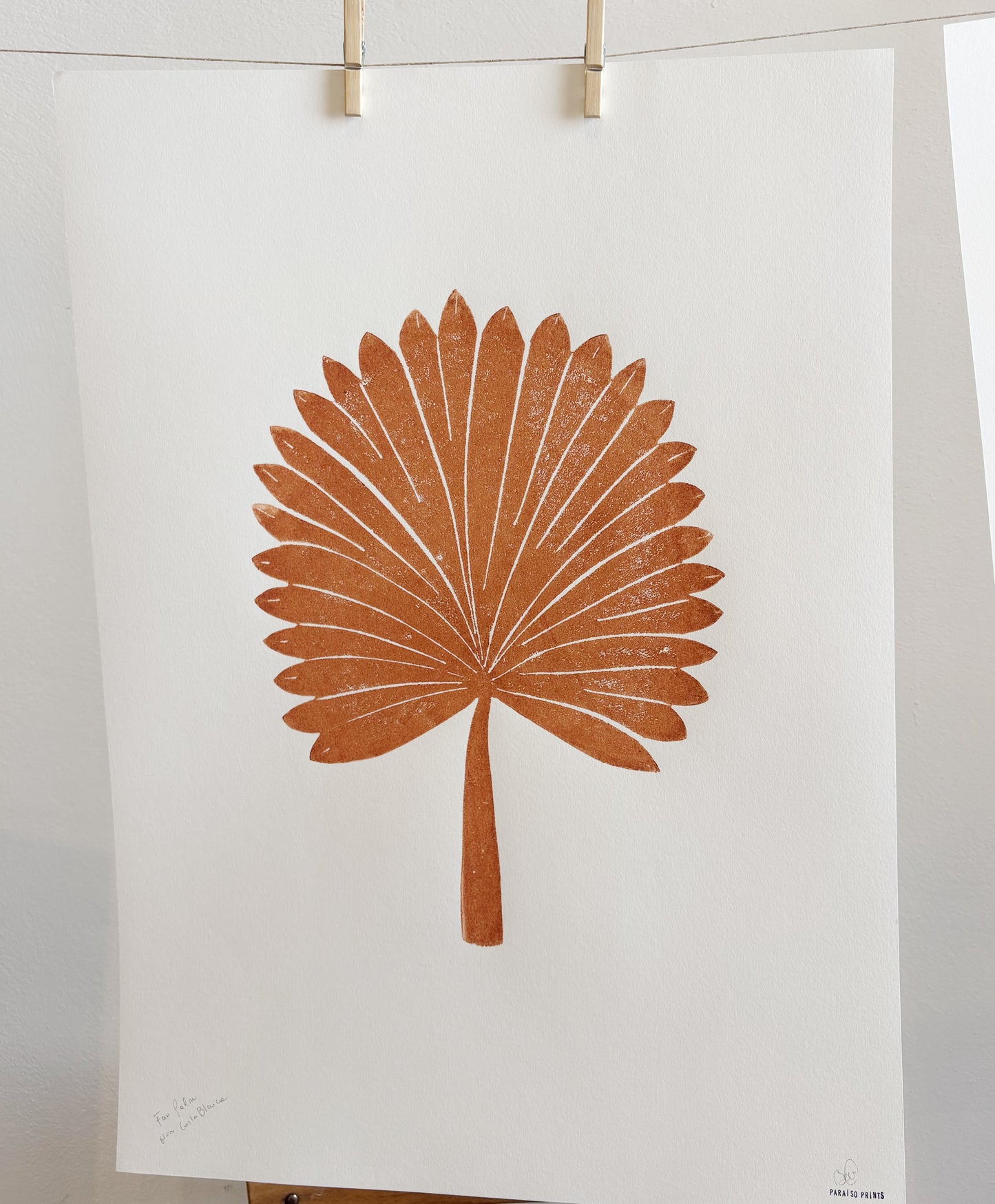 Fan palm