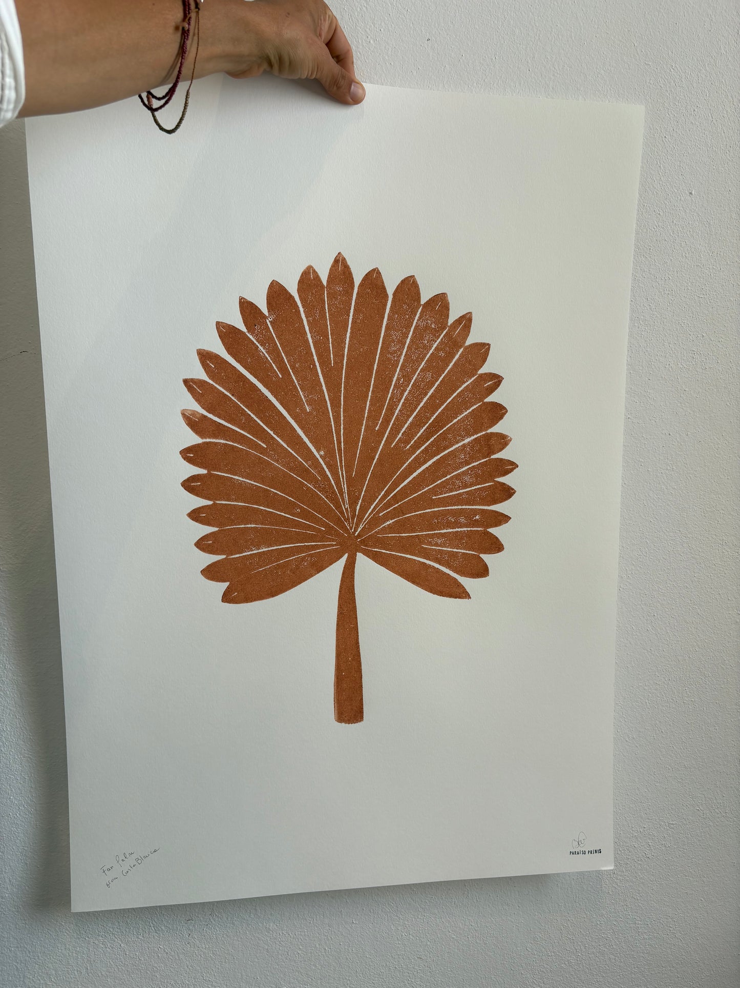 Fan palm